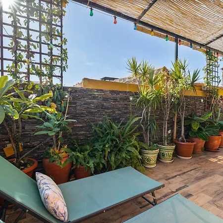 Lejlighed Charming Duplex Penthouse In Historic Center Málaga